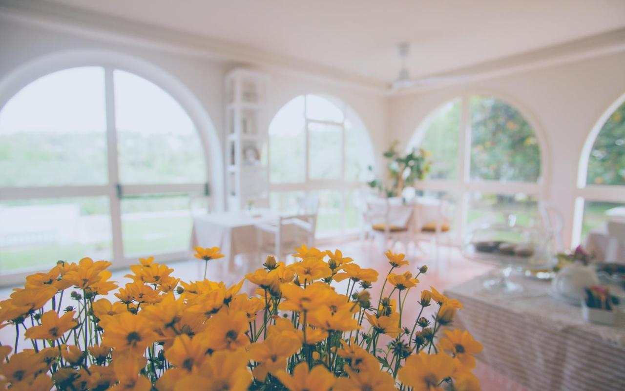 Al Gattosaggio Bed & Breakfast Montecarlo Bagian luar foto