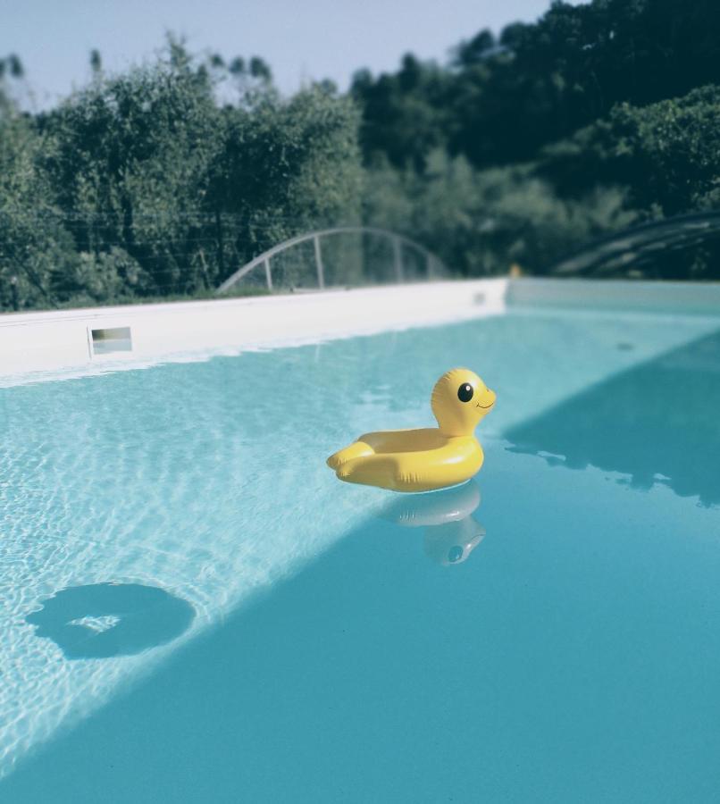 Al Gattosaggio Bed & Breakfast Montecarlo Bagian luar foto