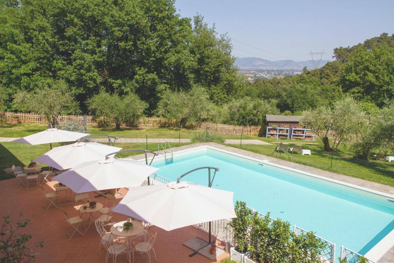 Al Gattosaggio Bed & Breakfast Montecarlo Bagian luar foto