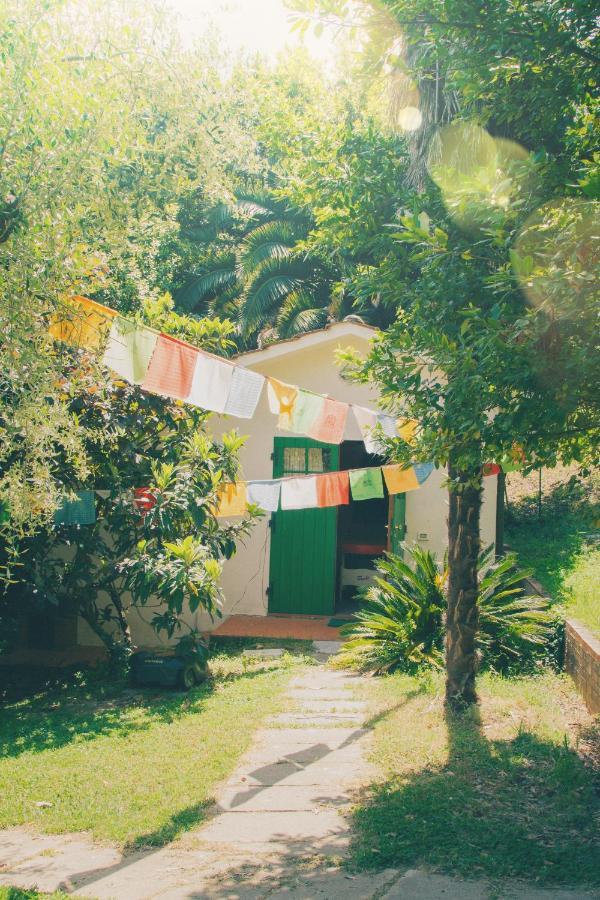 Al Gattosaggio Bed & Breakfast Montecarlo Bagian luar foto