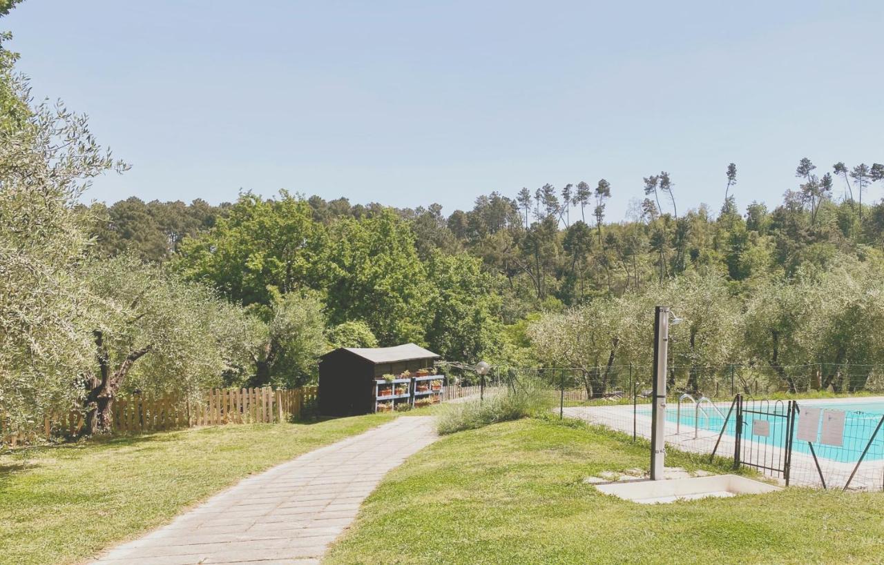 Al Gattosaggio Bed & Breakfast Montecarlo Bagian luar foto