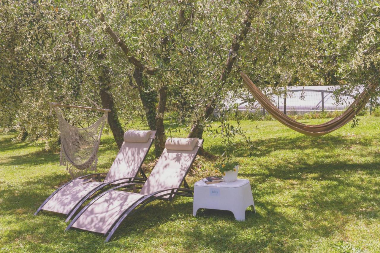Al Gattosaggio Bed & Breakfast Montecarlo Bagian luar foto